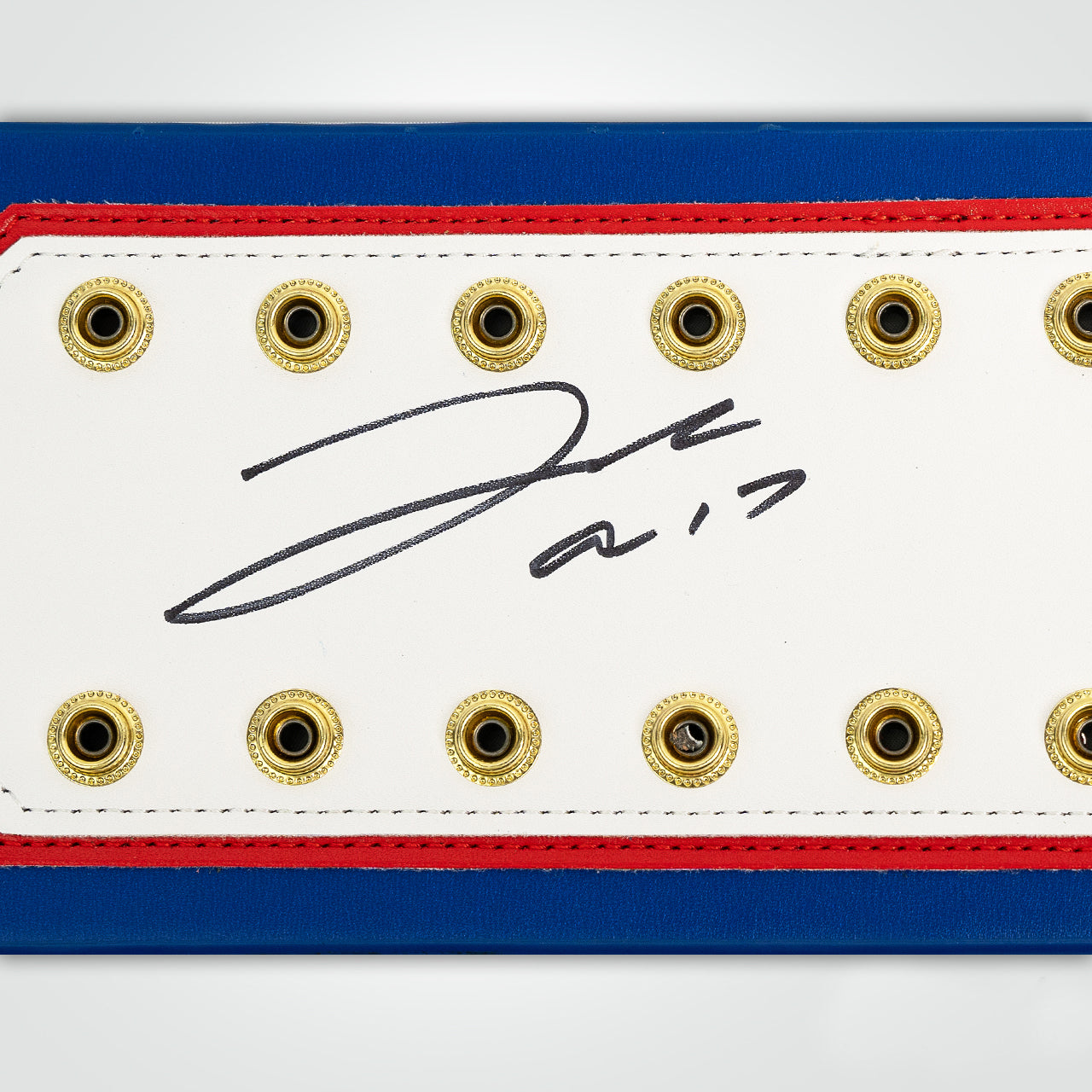 Josh Allen Signed Bills WWE Belt Inscribed "Bills Mafia"