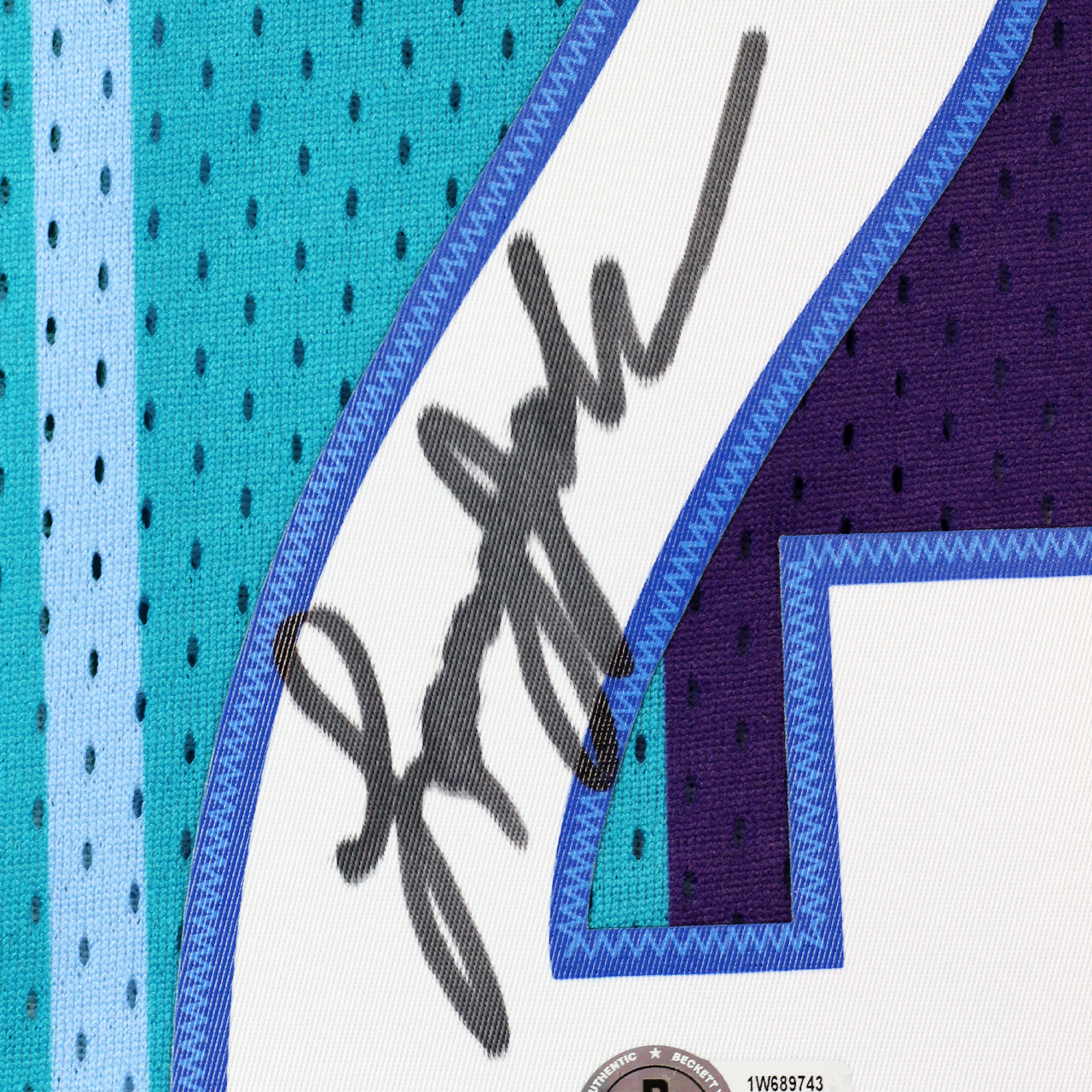 Larry Johnson Signed Hornets Mitchell & Ness Replica Jersey