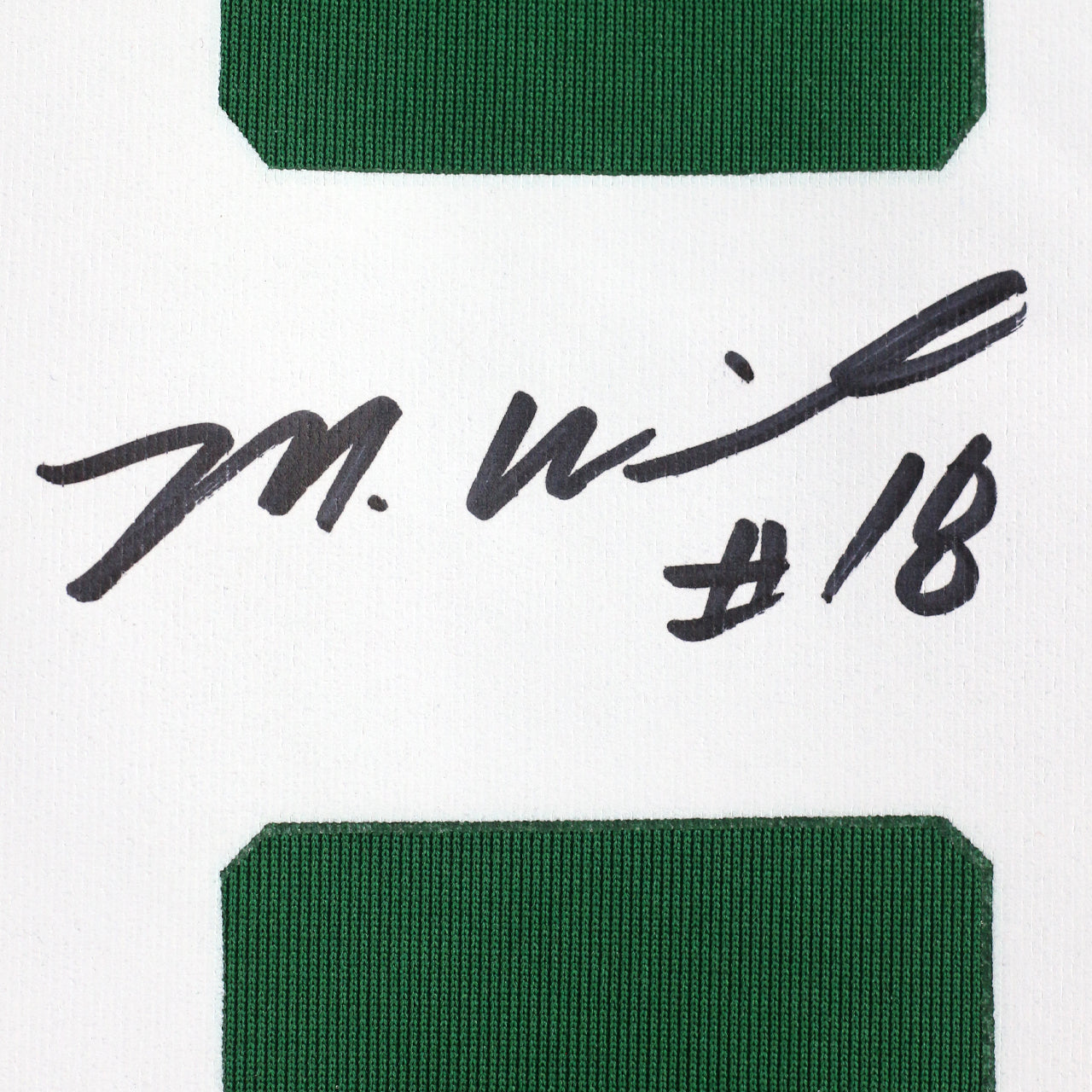 Mike Williams Signed Jets Nike Game Jersey