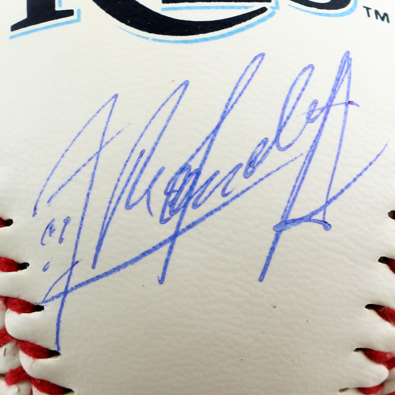 Randy Arozarena Signed Rays Official Major League Baseball