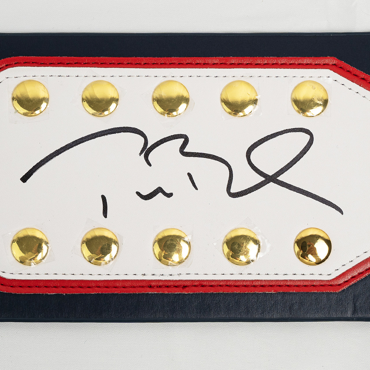 Tom Brady Signed Patriots WWE Belt